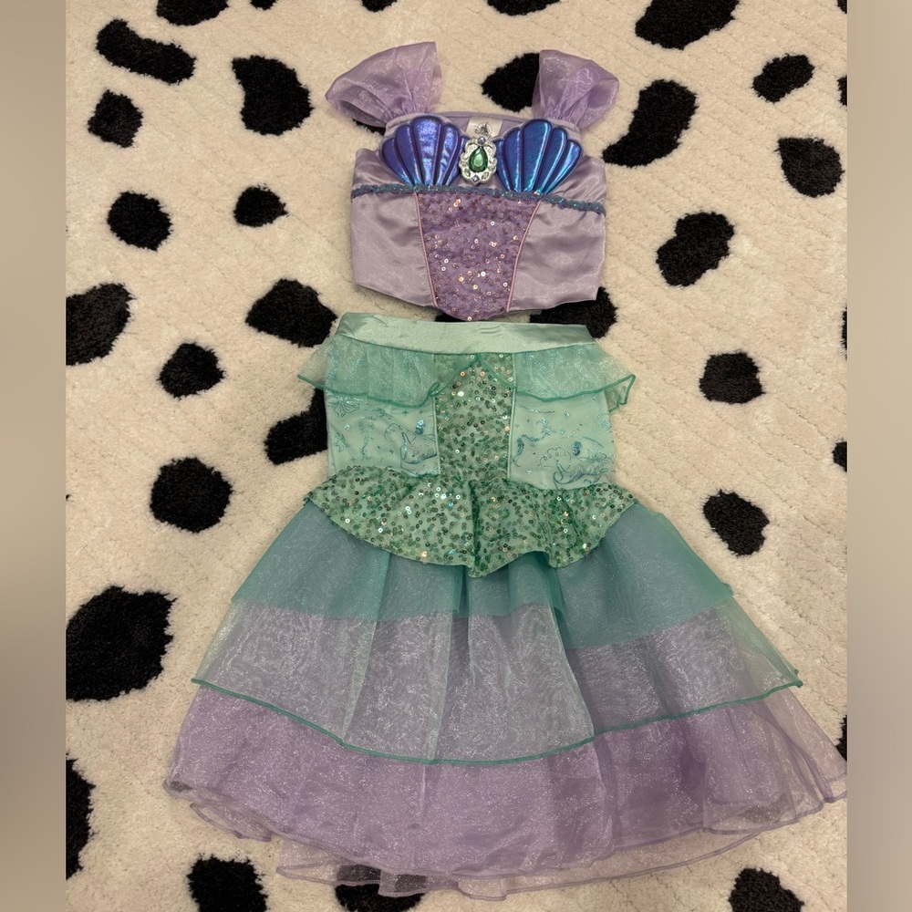 Disney Ariel Costume